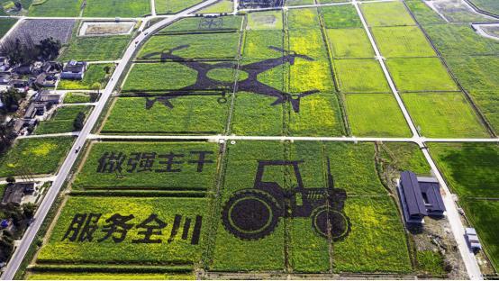 品牌檔案微博 “成都奇特新生態(tài)農(nóng)業(yè)”執(zhí)行董事何濤女士做客云訪談《崛起中國》